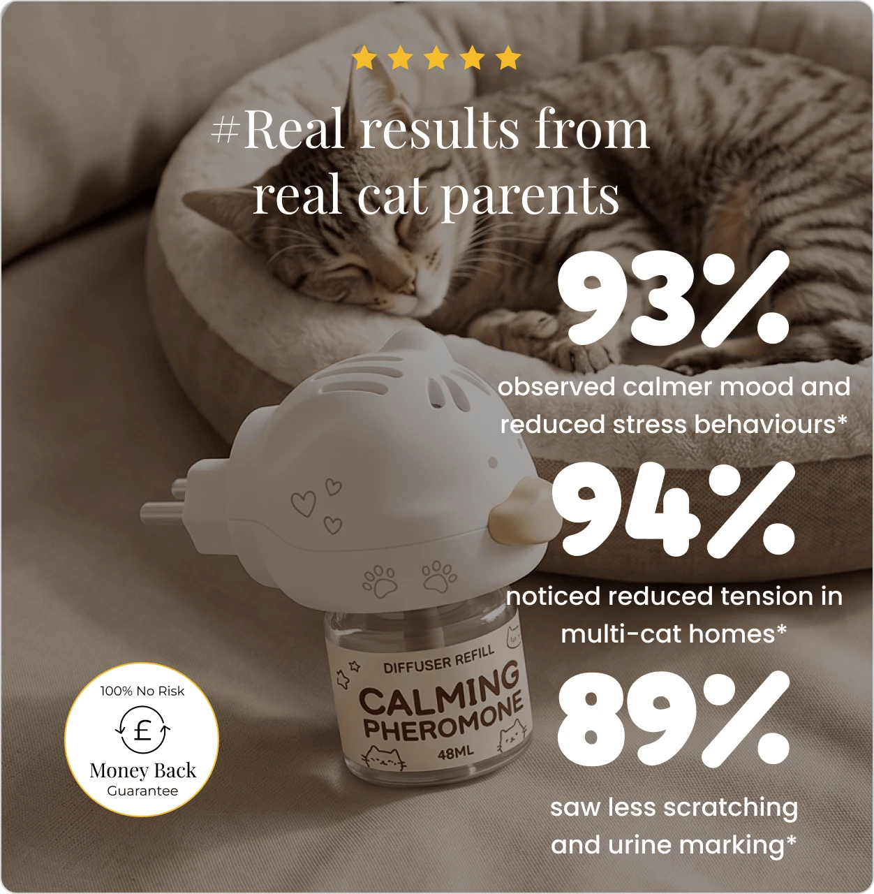 Cats Calming Diffuser Kit