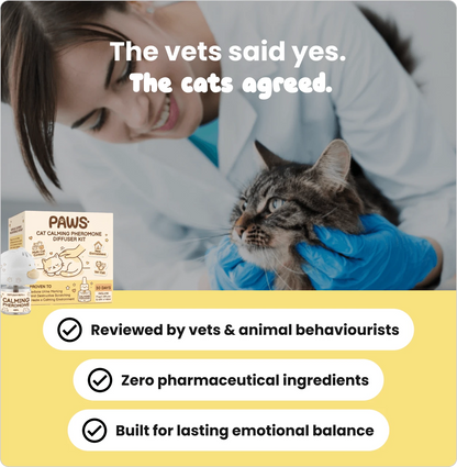 Cats Calming Diffuser Kit
