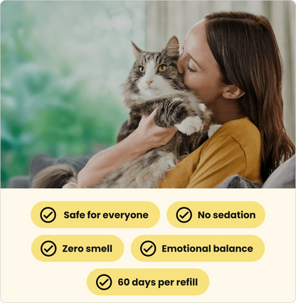 Cats Calming Diffuser Kit