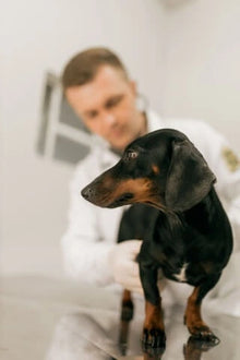 Dr. Kelly Hood