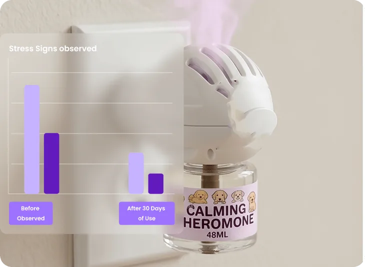 The Science Behind the Calm