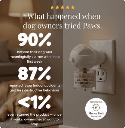 Dogs Calming Diffuser Kit