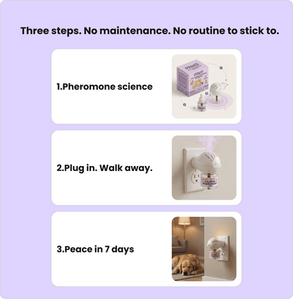 Dogs Calming Diffuser Kit