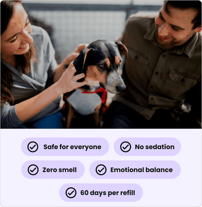 Dogs Calming Diffuser Kit