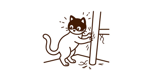 Furniture Scratching