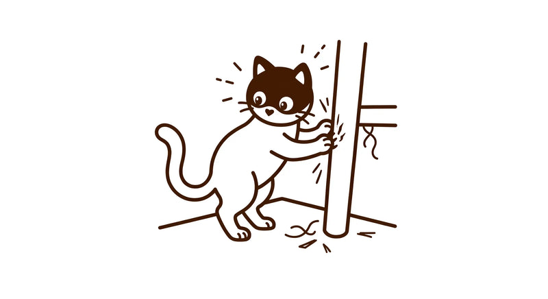 Furniture Scratching